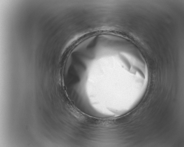 X0000080181262200612302236