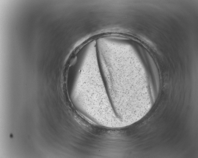 X0000080181264200612302236