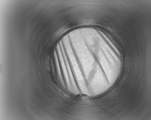 X0000080181265200612302236