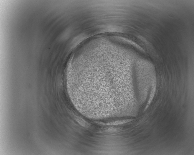 X0000080181266200612302236