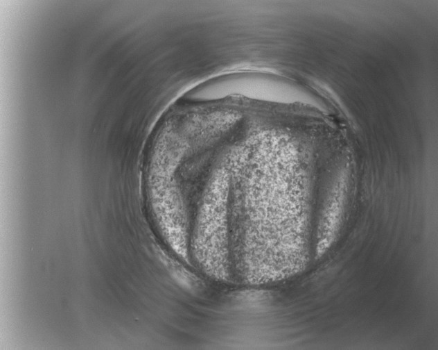 X0000080181268200612302236