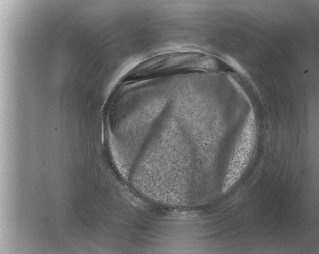 X0000080181269200612302236