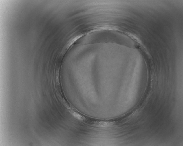 X0000080181273200612302236