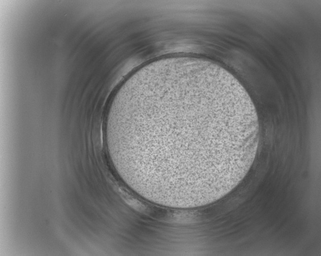 X0000080181274200612302236