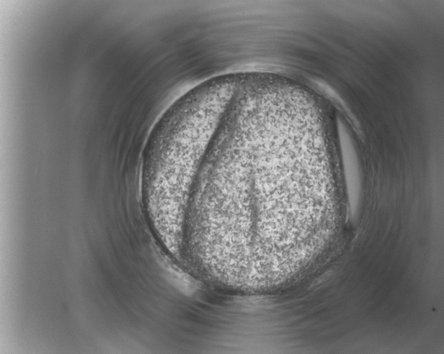 X0000080181276200612302236