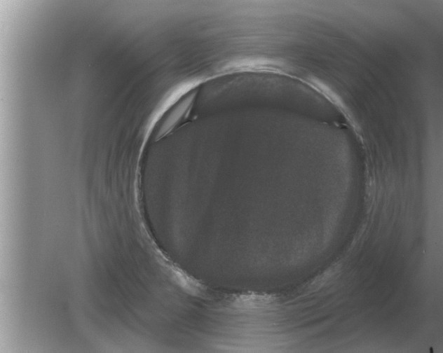 X0000080181277200612302236