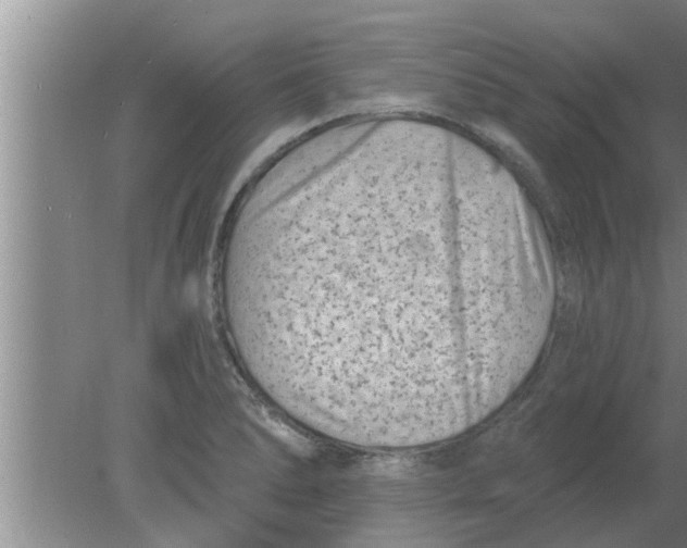 X0000080181278200612302236