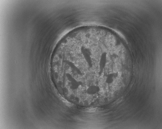 X0000080181279200612302236