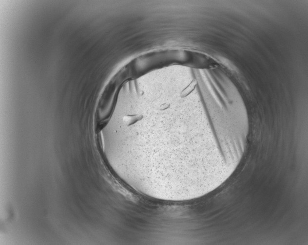 X0000080181280200612302236