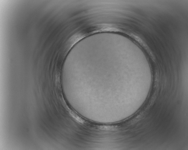 X0000080181281200612302236