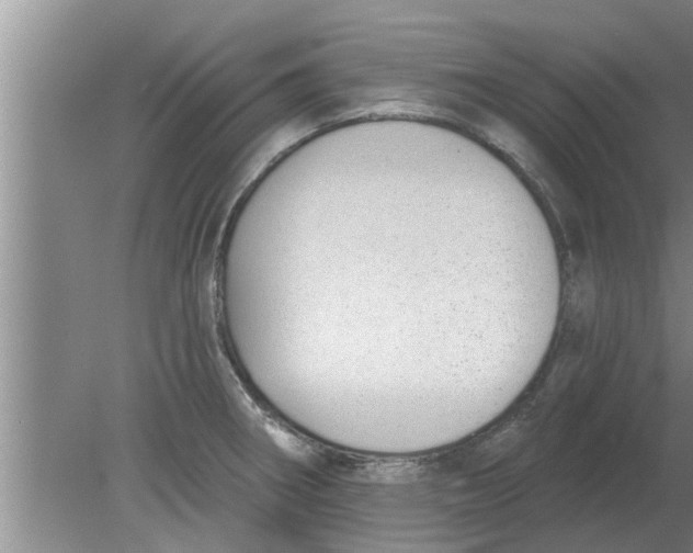 X0000080181282200612302235