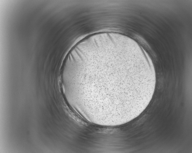 X0000080181284200612302235