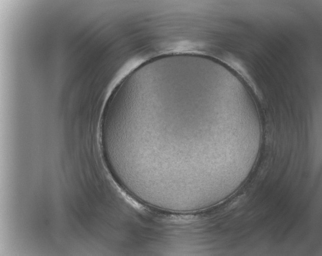 X0000080181285200612302235