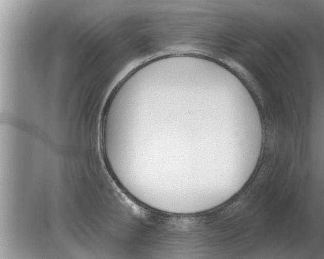 X0000080181286200612302235