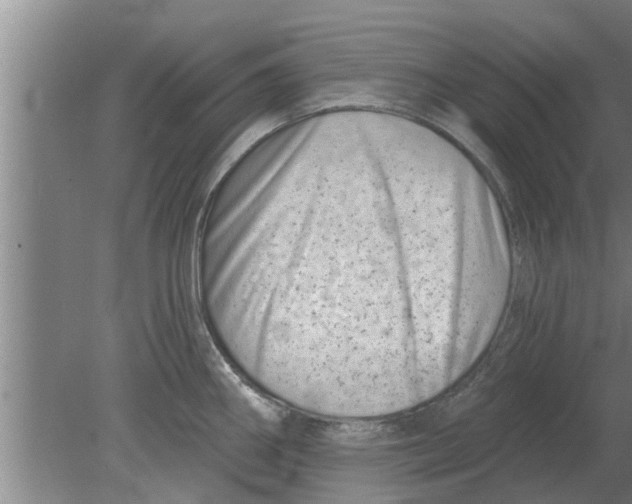 X0000080181290200612302235