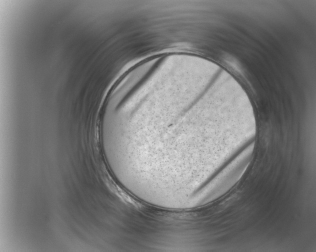 X0000080181292200612302235