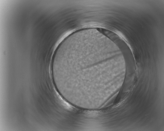 X0000080181293200612302235