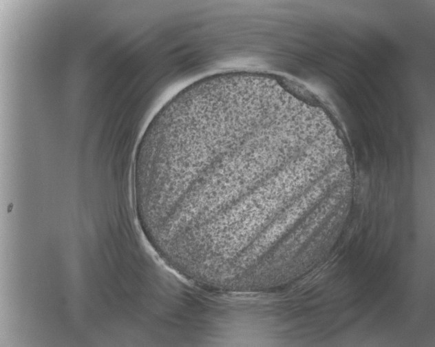 X0000080181295200612302235