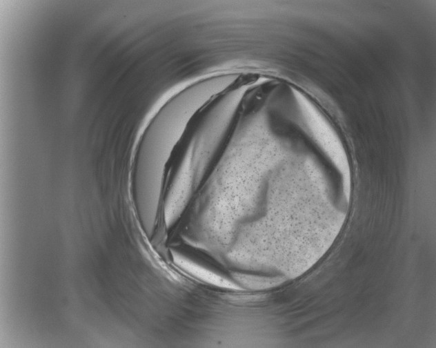 X0000080181296200612302235