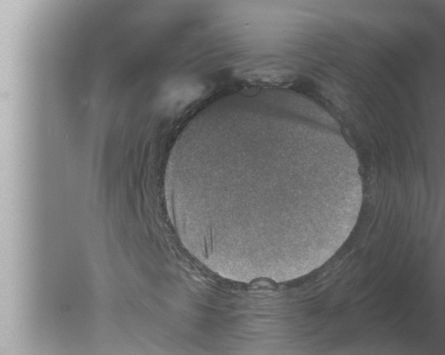 X0000080181297200612302234