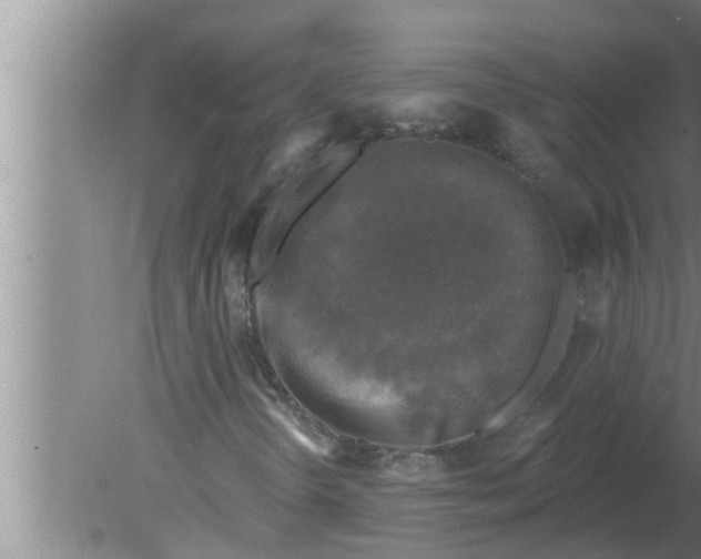 X0000080181298200612302234