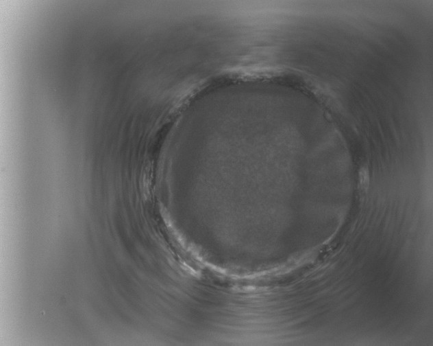 X0000080181300200612302234