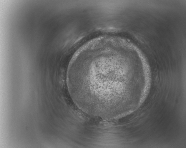 X0000080181301200612302235