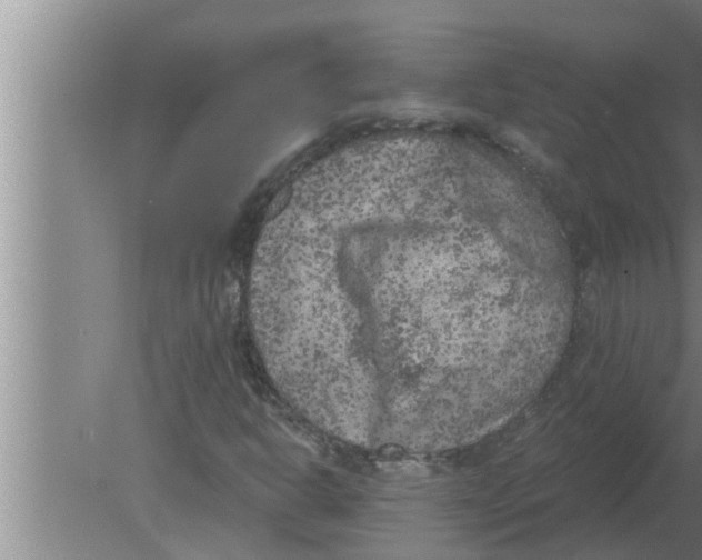 X0000080181302200612302235