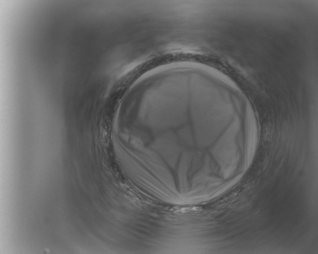 X0000080181303200612302235