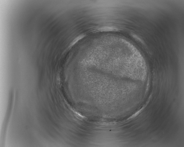 X0000080181305200612302235