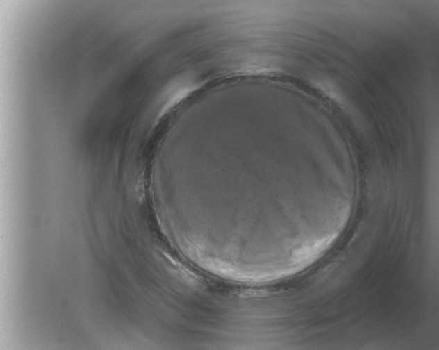 X0000080181306200612302235