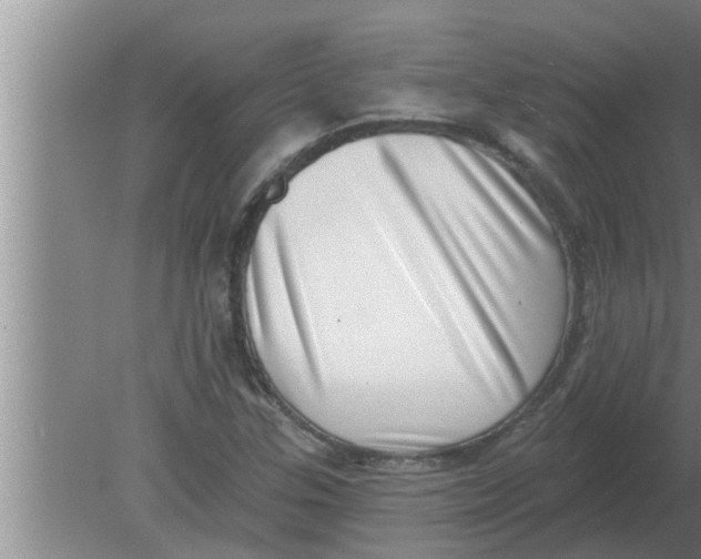 X0000080181307200612302235