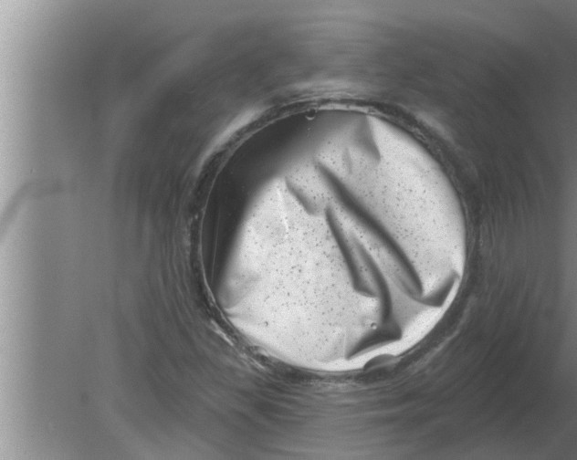 X0000080181309200612302235