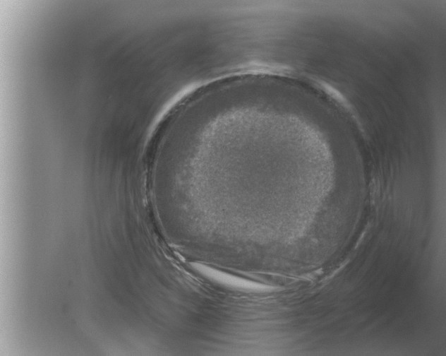 X0000080181310200612302235