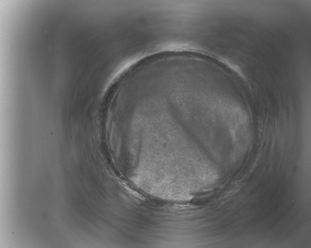 X0000080181311200612302235