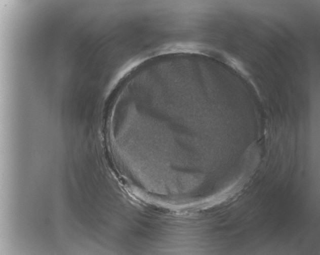 X0000080181312200612302235