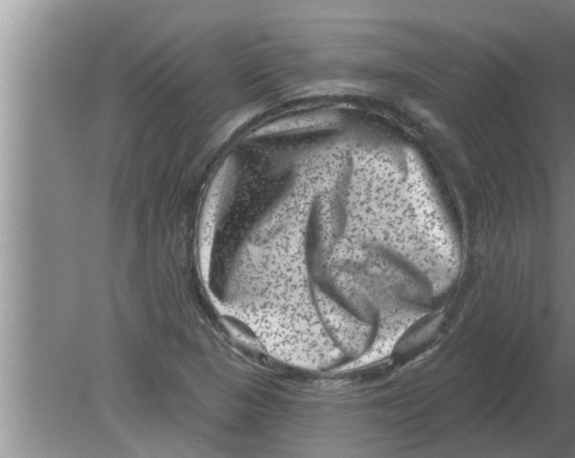 X0000080181313200612302235