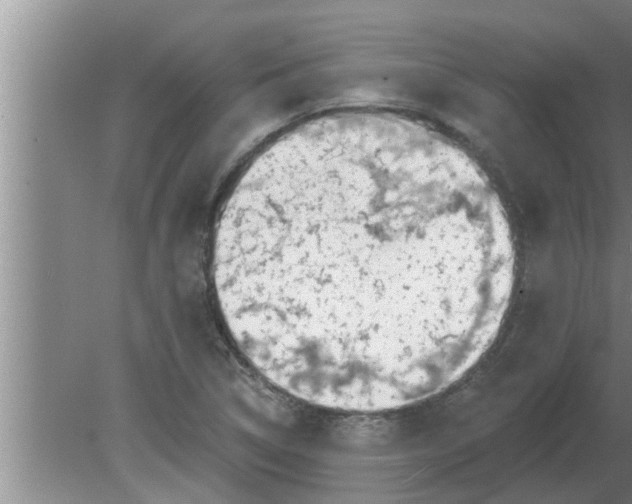 X0000080181314200612302235