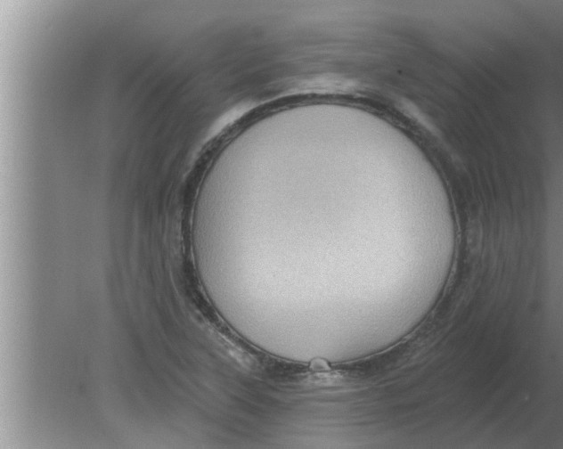 X0000080181315200612302235