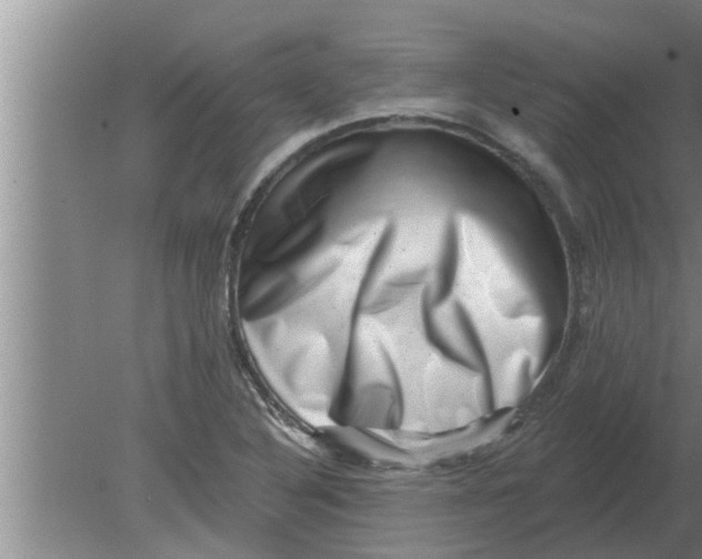 X0000080181316200612302235