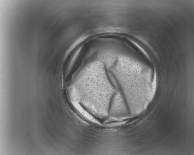 X0000080181317200612302235