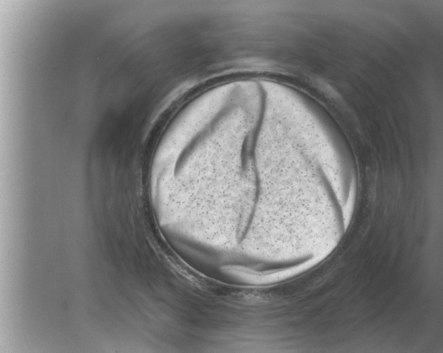 X0000080181318200612302235