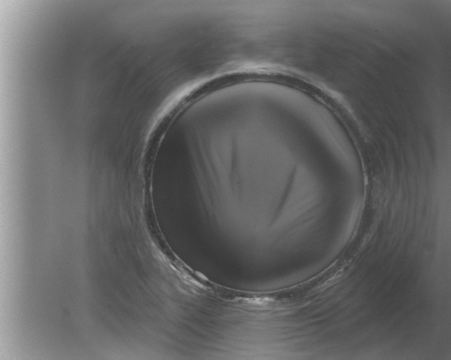 X0000080181319200612302235