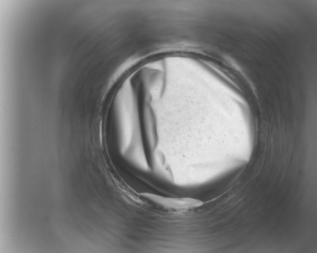 X0000080181320200612302235