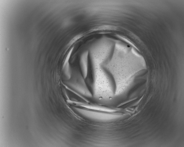 X0000080181321200612302235