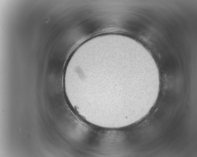 X0000080181322200612302235