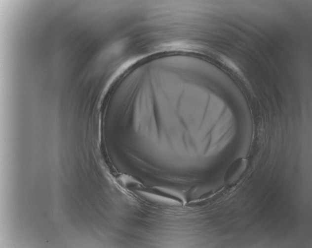 X0000080181323200612302235