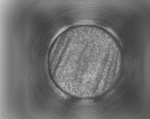 X0000080181325200612302235