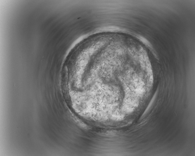 X0000080181326200612302235