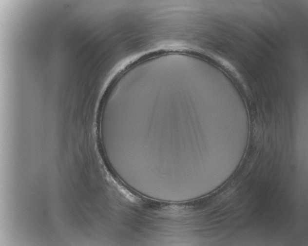 X0000080181327200612302235